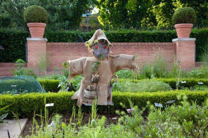 Paris garden walks on a lovely day or evening